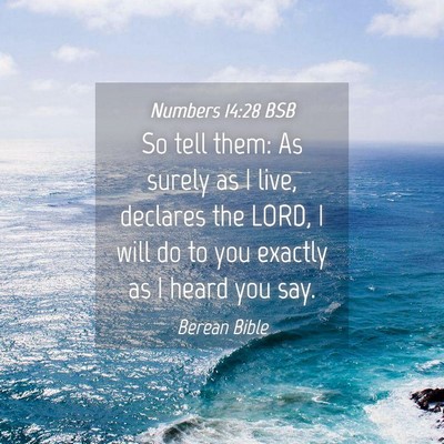 Picture 04 - Numbers 14:28 BSB - So tell them: As surely as I live, declares the - Bible Verse Picture