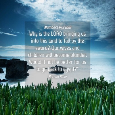 Picture 04 - Numbers 14:3 BSB - Why is the LORD bringing us into this land to - Bible Verse Picture
