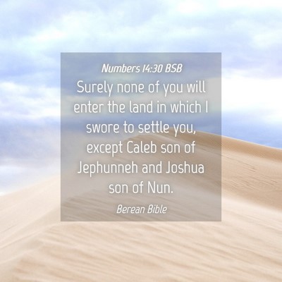 Picture 04 - Numbers 14:30 BSB - Surely none of you will enter the land in which I - Bible Verse Picture