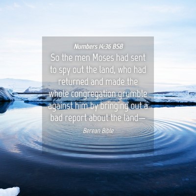 Picture 04 - Numbers 14:36 BSB - So the men Moses had sent to spy out the land, - Bible Verse Picture