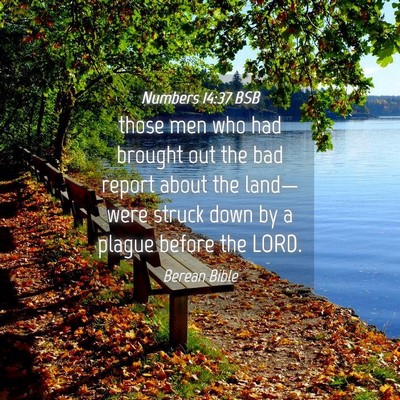 Picture 04 - Numbers 14:37 BSB - those men who had brought out the bad report - Bible Verse Picture