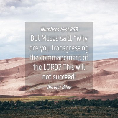 Picture 04 - Numbers 14:41 BSB - But Moses said, “Why are you transgressing the - Bible Verse Picture