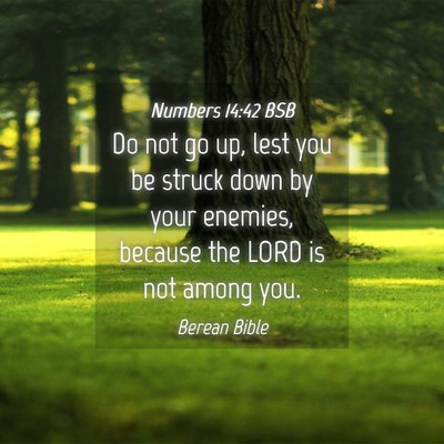 Picture 04 - Numbers 14:42 BSB - Do not go up, lest you be struck down by your - Bible Verse Picture