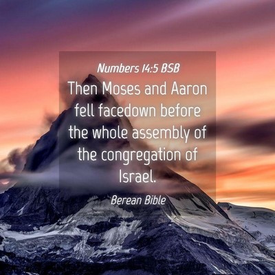 Picture 04 - Numbers 14:5 BSB - Then Moses and Aaron fell facedown before the - Bible Verse Picture