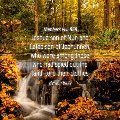 Picture 04 - Numbers 14:6 BSB - Joshua son of Nun and Caleb son of Jephunneh, who - Bible Verse Picture