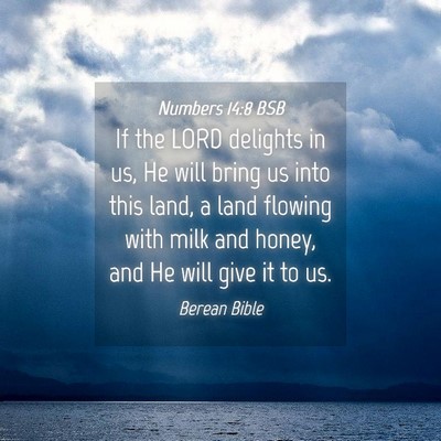 Picture 04 - Numbers 14:8 BSB - If the LORD delights in us, He will bring us into - Bible Verse Picture