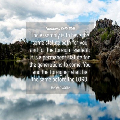 Picture 04 - Numbers 15:15 BSB - The assembly is to have the same statute both for - Bible Verse Picture