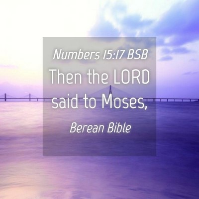 Picture 04 - Numbers 15:17 BSB - Then the LORD said to - Bible Verse Picture