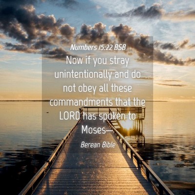 Picture 04 - Numbers 15:22 BSB - Now if you stray unintentionally and do not obey - Bible Verse Picture