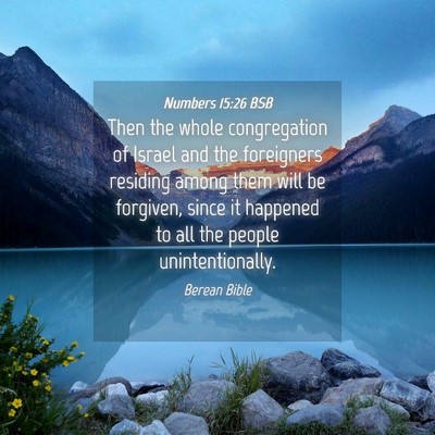 Picture 04 - Numbers 15:26 BSB - Then the whole congregation of Israel and the - Bible Verse Picture