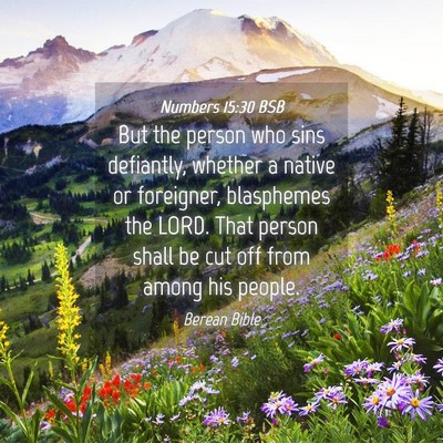 Picture 04 - Numbers 15:30 BSB - But the person who sins defiantly, whether a - Bible Verse Picture