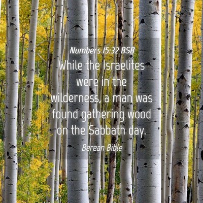Picture 04 - Numbers 15:32 BSB - While the Israelites were in the wilderness, a - Bible Verse Picture
