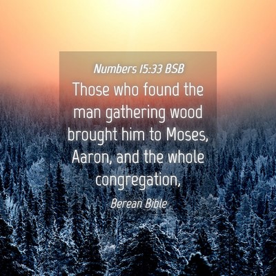 Picture 04 - Numbers 15:33 BSB - Those who found the man gathering wood brought - Bible Verse Picture
