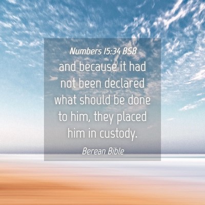 Picture 04 - Numbers 15:34 BSB - and because it had not been declared what should - Bible Verse Picture