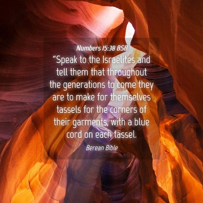 Picture 04 - Numbers 15:38 BSB - “Speak to the Israelites and tell them that - Bible Verse Picture