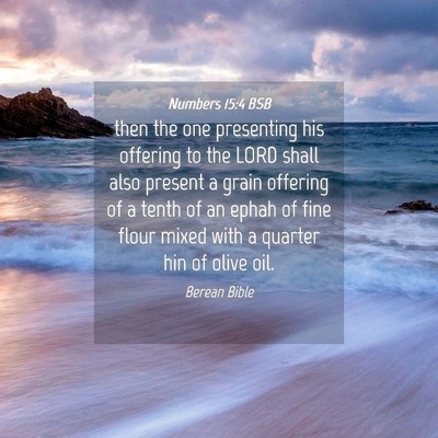 Picture 04 - Numbers 15:4 BSB - then the one presenting his offering to the LORD - Bible Verse Picture