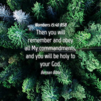 Picture 04 - Numbers 15:40 BSB - Then you will remember and obey all My - Bible Verse Picture