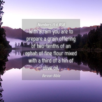 Picture 04 - Numbers 15:6 BSB - With a ram you are to prepare a grain offering of - Bible Verse Picture