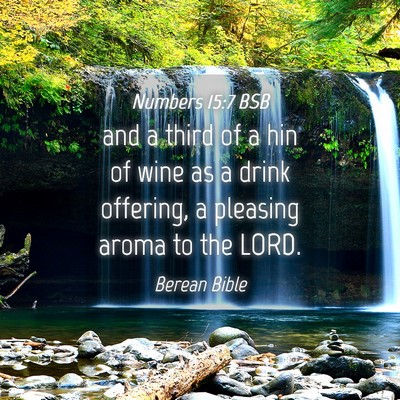 Picture 04 - Numbers 15:7 BSB - and a third of a hin of wine as a drink offering, - Bible Verse Picture