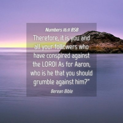 Picture 04 - Numbers 16:11 BSB - Therefore, it is you and all your followers who - Bible Verse Picture