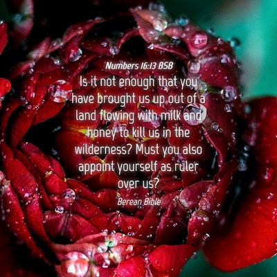 Picture 04 - Numbers 16:13 BSB - Is it not enough that you have brought us up out - Bible Verse Picture