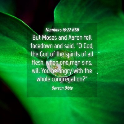 Picture 04 - Numbers 16:22 BSB - But Moses and Aaron fell facedown and said, “O - Bible Verse Picture