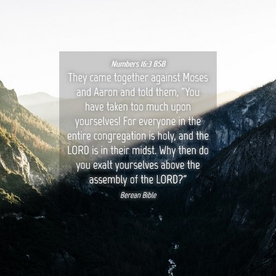Picture 04 - Numbers 16:3 BSB - They came together against Moses and Aaron and - Bible Verse Picture