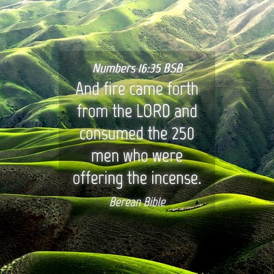 Picture 04 - Numbers 16:35 BSB - And fire came forth from the LORD and consumed - Bible Verse Picture