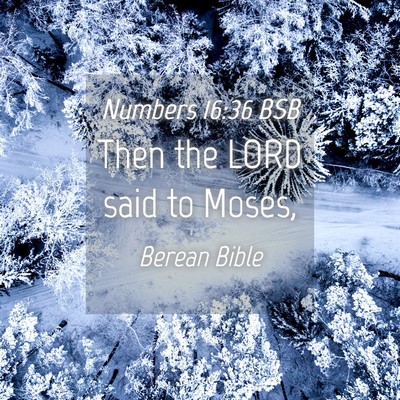 Picture 04 - Numbers 16:36 BSB - Then the LORD said to - Bible Verse Picture
