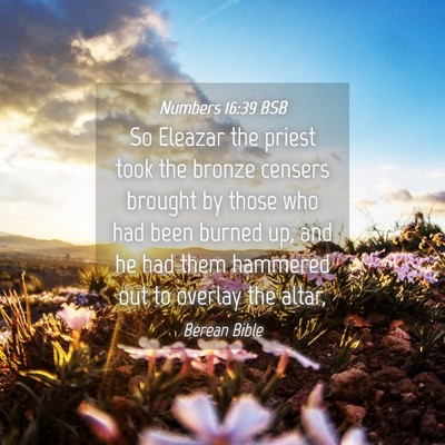 Picture 04 - Numbers 16:39 BSB - So Eleazar the priest took the bronze censers - Bible Verse Picture