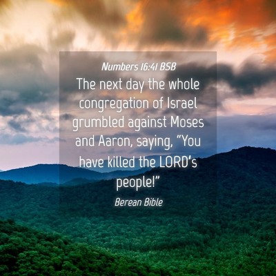 Picture 04 - Numbers 16:41 BSB - The next day the whole congregation of Israel - Bible Verse Picture