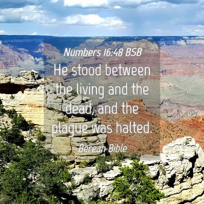 Picture 04 - Numbers 16:48 BSB - He stood between the living and the dead, and the - Bible Verse Picture