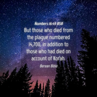 Picture 04 - Numbers 16:49 BSB - But those who died from the plague numbered - Bible Verse Picture