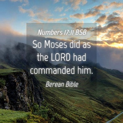 Picture 04 - Numbers 17:11 BSB - So Moses did as the LORD had commanded - Bible Verse Picture