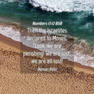 Picture 04 - Numbers 17:12 BSB - Then the Israelites declared to Moses, “Look, - Bible Verse Picture