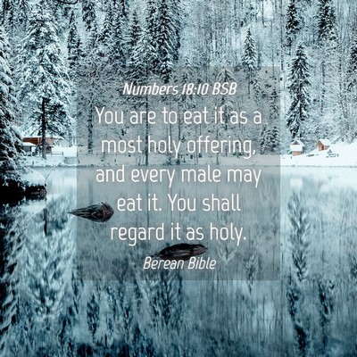 Picture 04 - Numbers 18:10 BSB - You are to eat it as a most holy offering, and - Bible Verse Picture