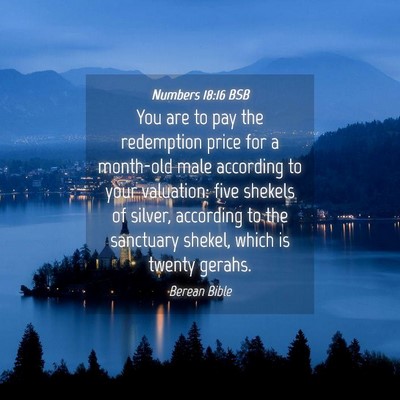 Picture 04 - Numbers 18:16 BSB - You are to pay the redemption price for a - Bible Verse Picture