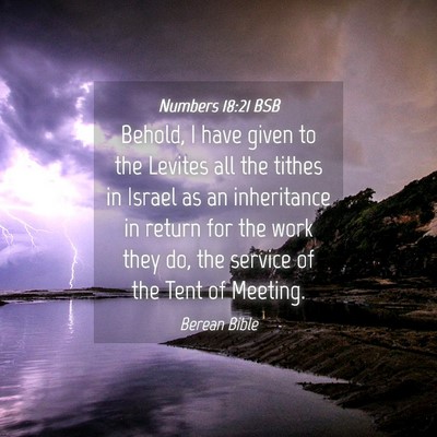 Picture 04 - Numbers 18:21 BSB - Behold, I have given to the Levites all the - Bible Verse Picture