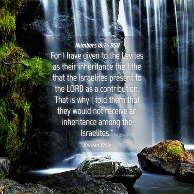 Picture 04 - Numbers 18:24 BSB - For I have given to the Levites as their - Bible Verse Picture