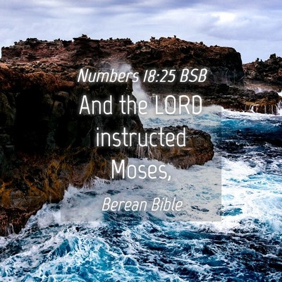 Picture 04 - Numbers 18:25 BSB - And the LORD instructed - Bible Verse Picture