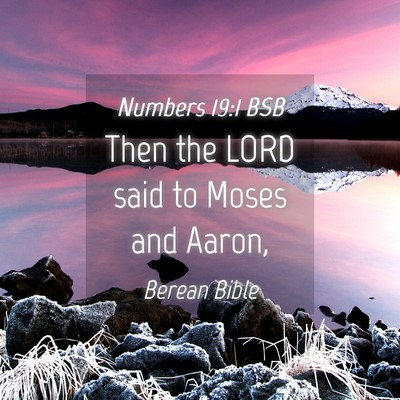 Picture 04 - Numbers 19:1 BSB - Then the LORD said to Moses and - Bible Verse Picture