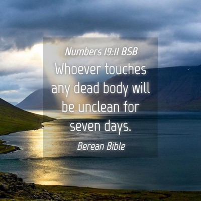 Picture 04 - Numbers 19:11 BSB - Whoever touches any dead body will be unclean for - Bible Verse Picture