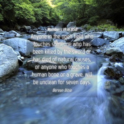 Picture 04 - Numbers 19:16 BSB - Anyone in the open field who touches someone who - Bible Verse Picture