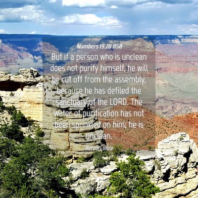 Picture 04 - Numbers 19:20 BSB - But if a person who is unclean does not purify - Bible Verse Picture