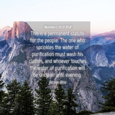 Picture 04 - Numbers 19:21 BSB - This is a permanent statute for the people: The - Bible Verse Picture