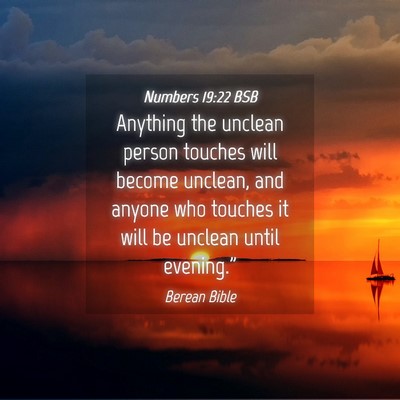 Picture 04 - Numbers 19:22 BSB - Anything the unclean person touches will become - Bible Verse Picture