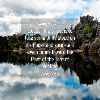 Picture 04 - Numbers 19:4 BSB - Eleazar the priest is to take some of its blood - Bible Verse Picture