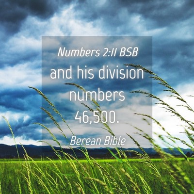 Picture 04 - Numbers 2:11 BSB - and his division numbers - Bible Verse Picture