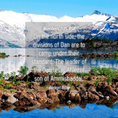 Picture 04 - Numbers 2:25 BSB - On the north side, the divisions of Dan are to - Bible Verse Picture