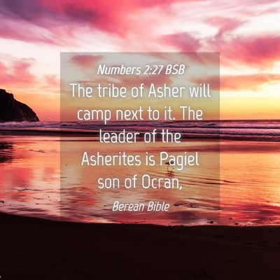 Picture 04 - Numbers 2:27 BSB - The tribe of Asher will camp next to it. The - Bible Verse Picture